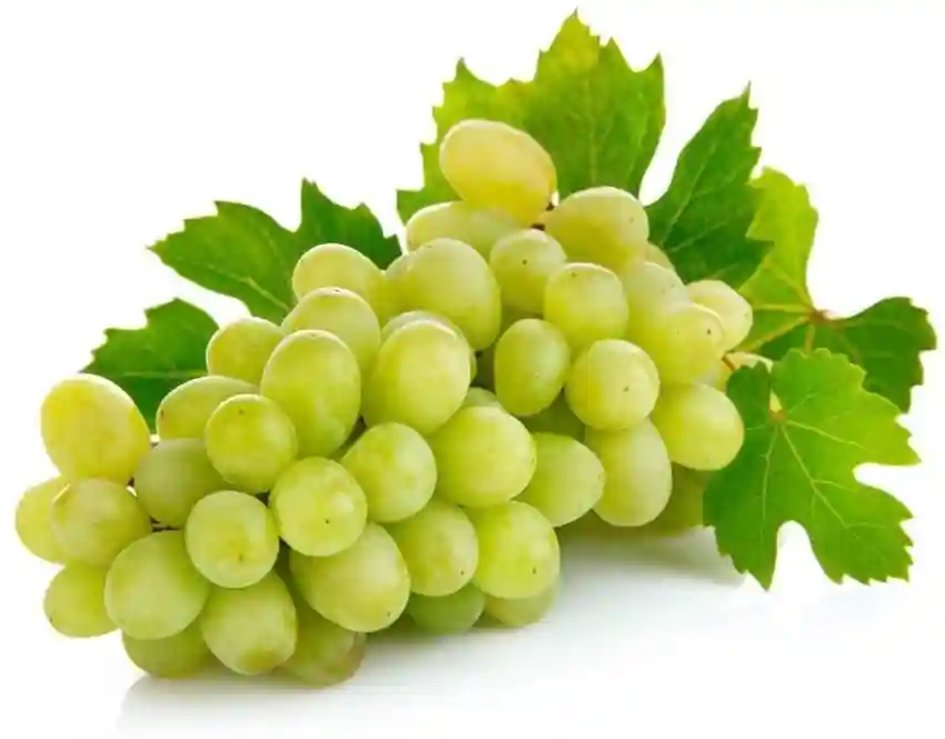 Grapes