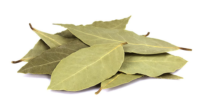 Bay-leaf