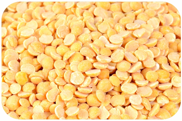 Pigeon pea