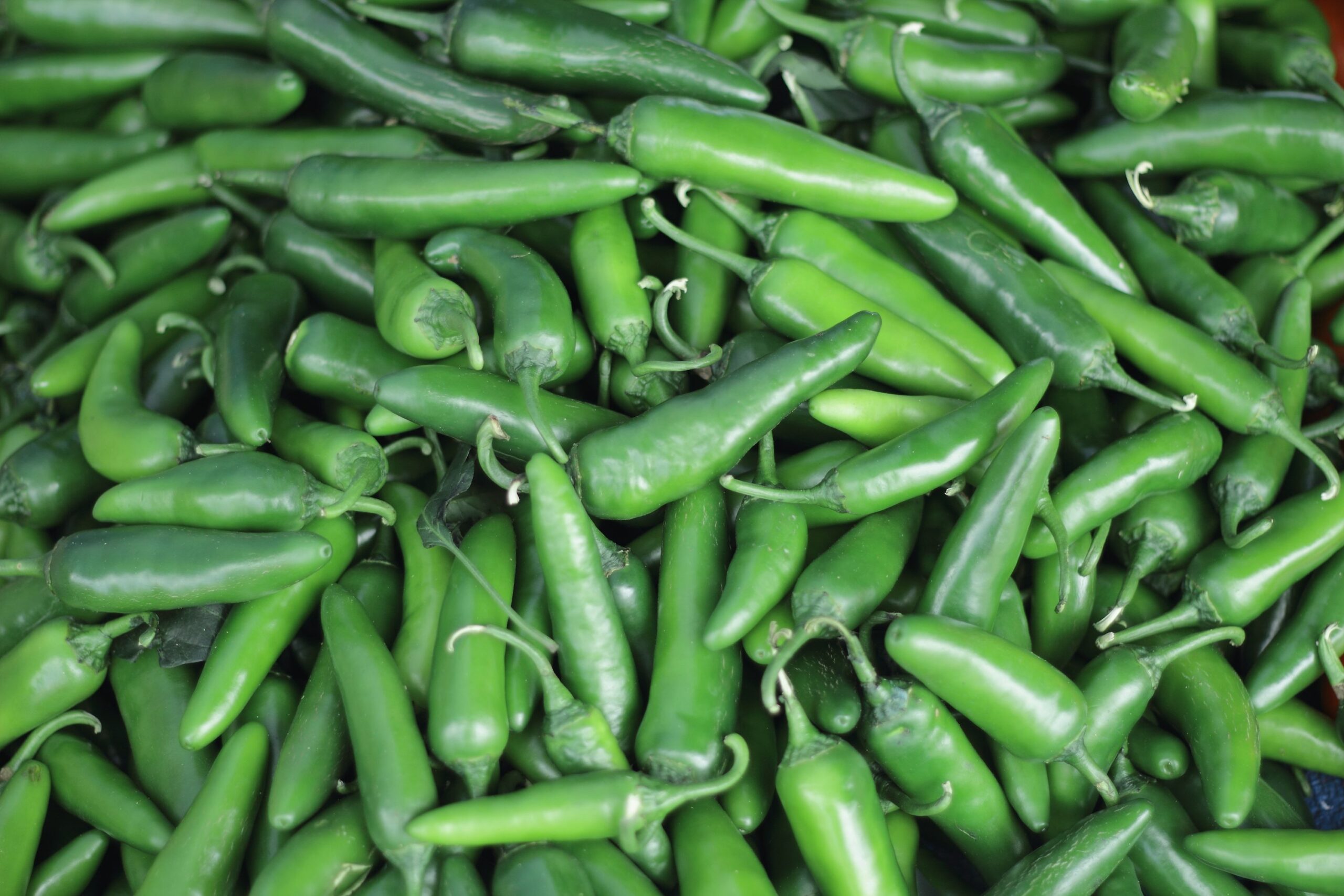 Green Chili