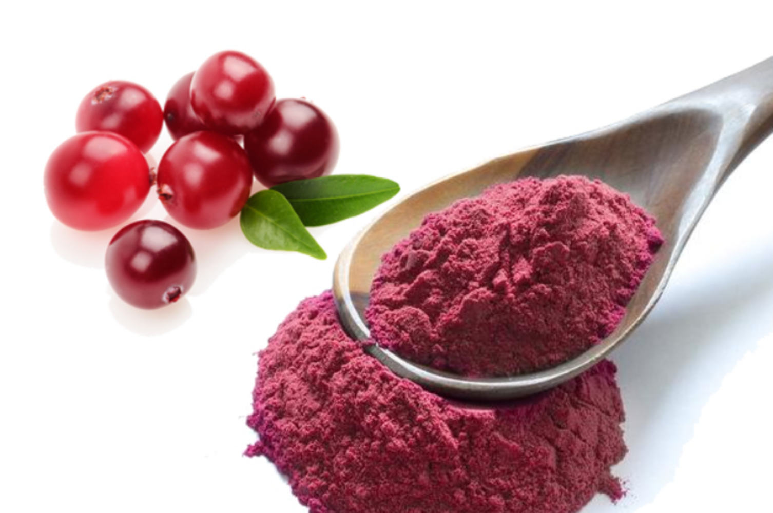 Cranberry Powder